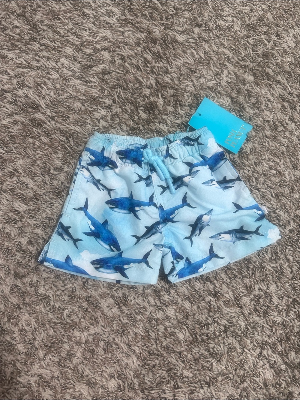 Posh Peanut boys infant trunks Light Blue Shark Swim Bottoms size 3-6 months